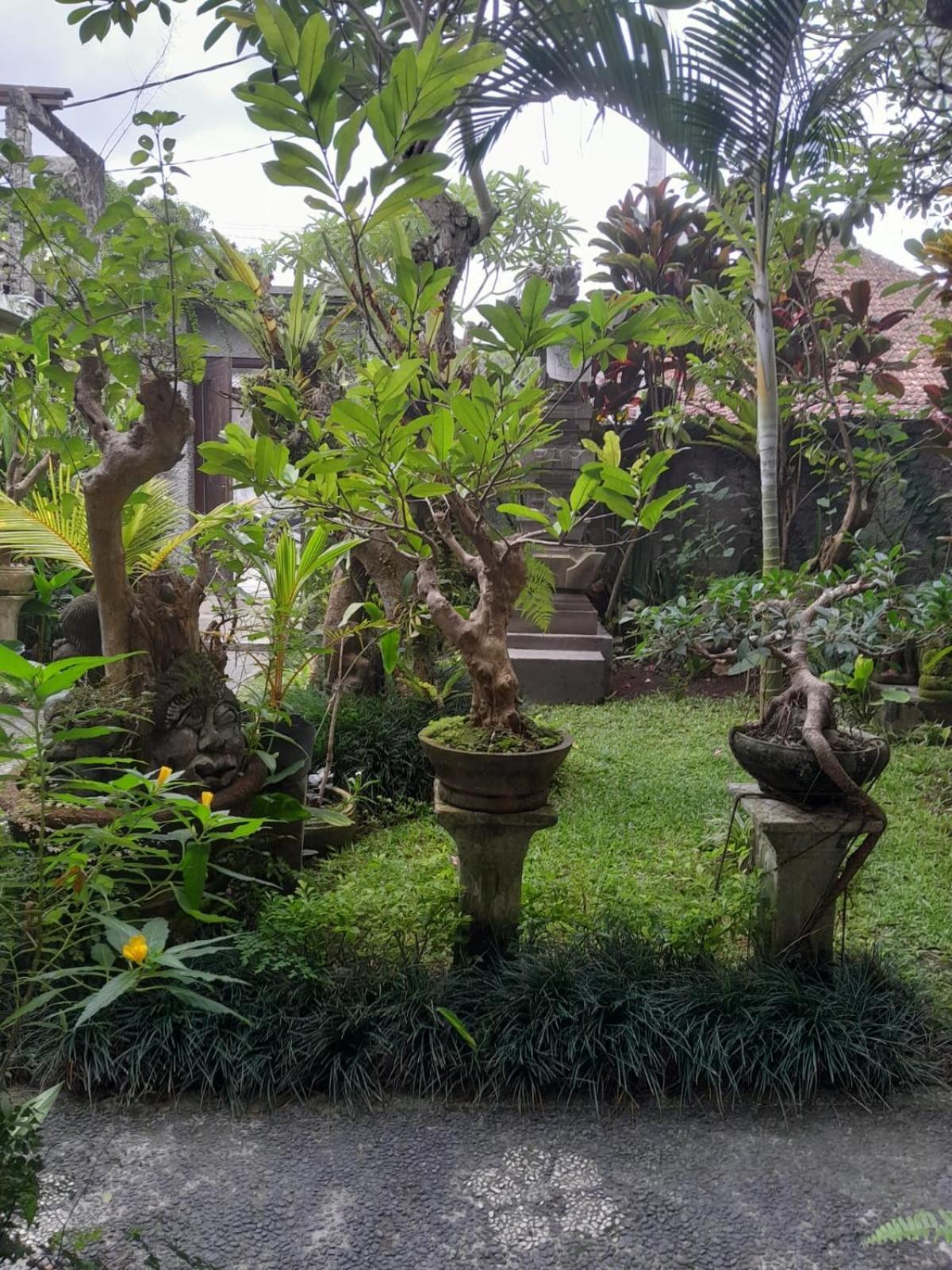 Soka Homestay Ubud Exteriör bild